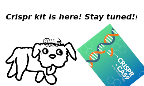 Dawg with Crispr